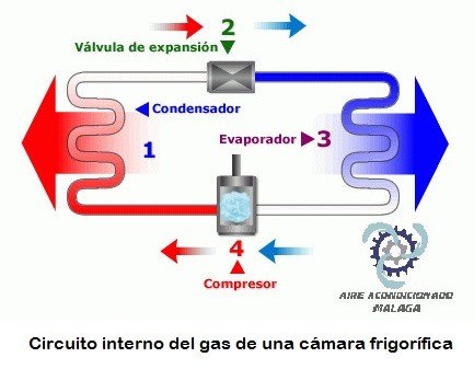 circuito camara frigorífica